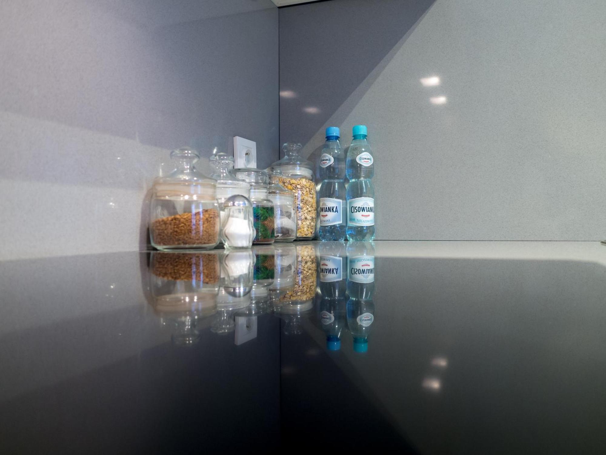 Apartament Great Kolo Opery I Miejscem Postojowym W Garazu ビャウィストク エクステリア 写真